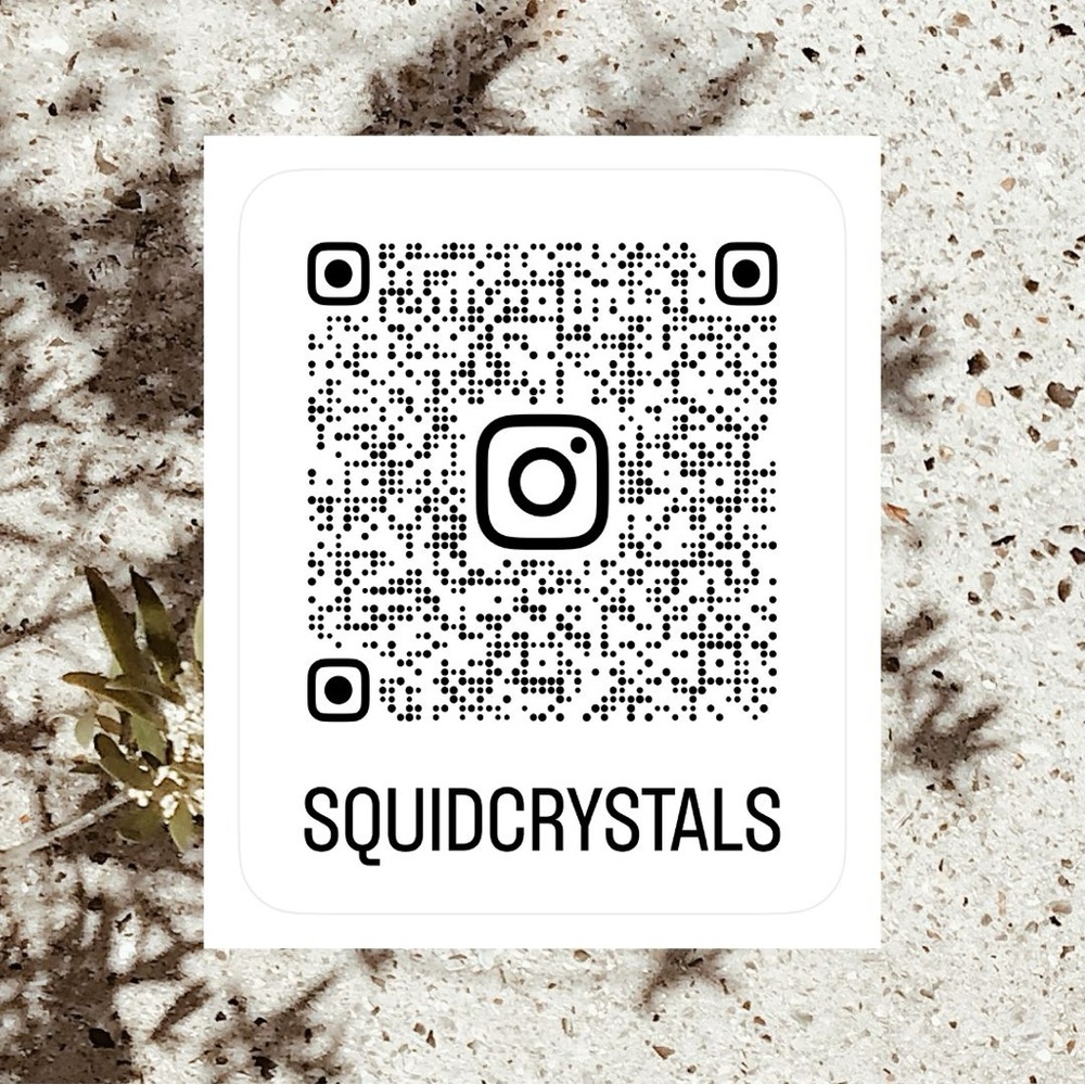 Follow Squid 🦑 on the gram 📲